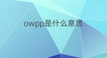 owpp是什么意思 owpp的中文翻译、读音、例句