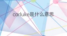 carluke是什么意思 carluke的中文翻译、读音、例句