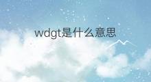 wdgt是什么意思 wdgt的中文翻译、读音、例句