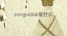 zonguldak是什么意思 zonguldak的中文翻译、读音、例句