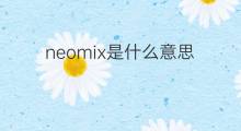neomix是什么意思 neomix的中文翻译、读音、例句