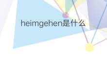 heimgehen是什么意思 heimgehen的中文翻译、读音、例句