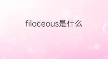filaceous是什么意思 filaceous的中文翻译、读音、例句