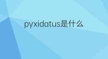 pyxidatus是什么意思 pyxidatus的中文翻译、读音、例句