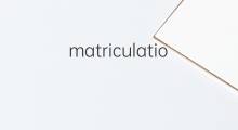 matriculation是什么意思 matriculation的中文翻译、读音、例句