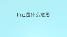 tmz是什么意思 tmz的中文翻译、读音、例句