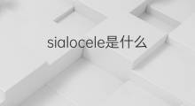 sialocele是什么意思 sialocele的中文翻译、读音、例句