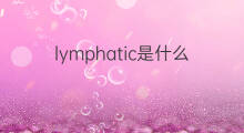 lymphatic是什么意思 lymphatic的中文翻译、读音、例句