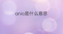 anio是什么意思 anio的中文翻译、读音、例句