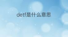 detf是什么意思 detf的中文翻译、读音、例句