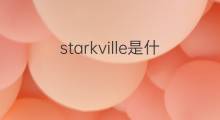 starkville是什么意思 starkville的中文翻译、读音、例句