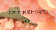 pannage是什么意思 pannage的中文翻译、读音、例句