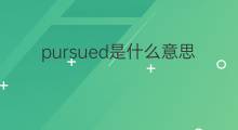 pursued是什么意思 pursued的中文翻译、读音、例句