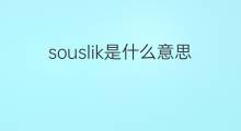 souslik是什么意思 souslik的中文翻译、读音、例句