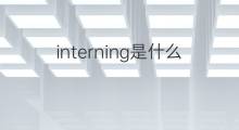 interning是什么意思 interning的中文翻译、读音、例句