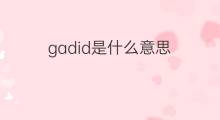gadid是什么意思 gadid的中文翻译、读音、例句