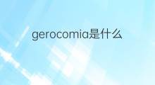 gerocomia是什么意思 gerocomia的中文翻译、读音、例句
