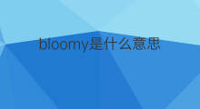 bloomy是什么意思 bloomy的中文翻译、读音、例句