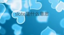 slote是什么意思 slote的中文翻译、读音、例句
