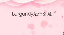 burgundy是什么意思 burgundy的中文翻译、读音、例句