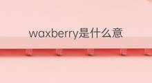 waxberry是什么意思 waxberry的中文翻译、读音、例句