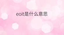 eoit是什么意思 eoit的中文翻译、读音、例句