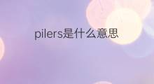pilers是什么意思 pilers的中文翻译、读音、例句