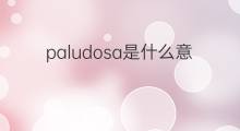 paludosa是什么意思 paludosa的中文翻译、读音、例句