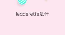 leaderette是什么意思 leaderette的中文翻译、读音、例句