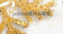 unideal是什么意思 unideal的中文翻译、读音、例句