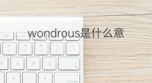 wondrous是什么意思 wondrous的中文翻译、读音、例句