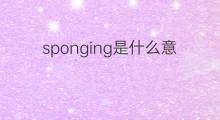 sponging是什么意思 sponging的中文翻译、读音、例句