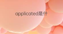 applicated是什么意思 applicated的中文翻译、读音、例句