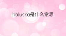 haluska是什么意思 haluska的中文翻译、读音、例句