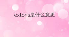 extons是什么意思 extons的中文翻译、读音、例句
