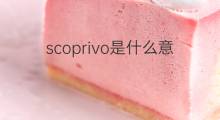 scoprivo是什么意思 scoprivo的中文翻译、读音、例句