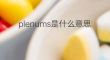 plenums是什么意思 plenums的中文翻译、读音、例句
