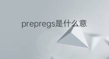 prepregs是什么意思 prepregs的中文翻译、读音、例句