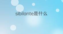 sibilante是什么意思 sibilante的中文翻译、读音、例句
