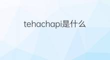 tehachapi是什么意思 tehachapi的中文翻译、读音、例句
