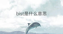 bist是什么意思 bist的中文翻译、读音、例句