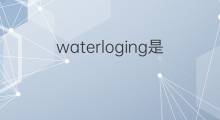 waterloging是什么意思 waterloging的中文翻译、读音、例句
