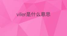 viler是什么意思 viler的中文翻译、读音、例句