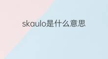 skaulo是什么意思 skaulo的中文翻译、读音、例句