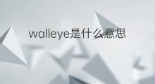walleye是什么意思 walleye的中文翻译、读音、例句