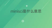 minisci是什么意思 minisci的中文翻译、读音、例句