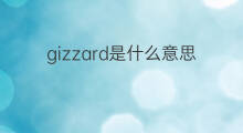 gizzard是什么意思 gizzard的中文翻译、读音、例句