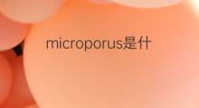 microporus是什么意思 microporus的中文翻译、读音、例句
