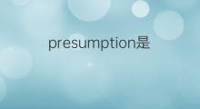 presumption是什么意思 presumption的中文翻译、读音、例句