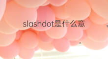 slashdot是什么意思 slashdot的中文翻译、读音、例句